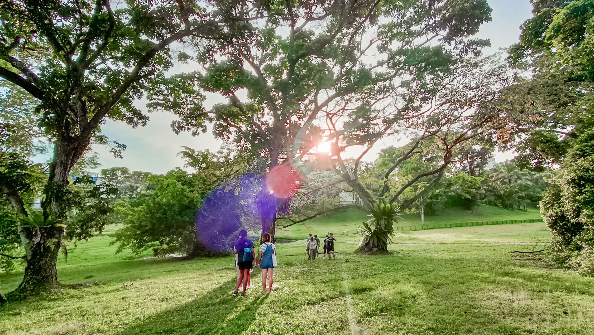 An open space in Serene Gardens