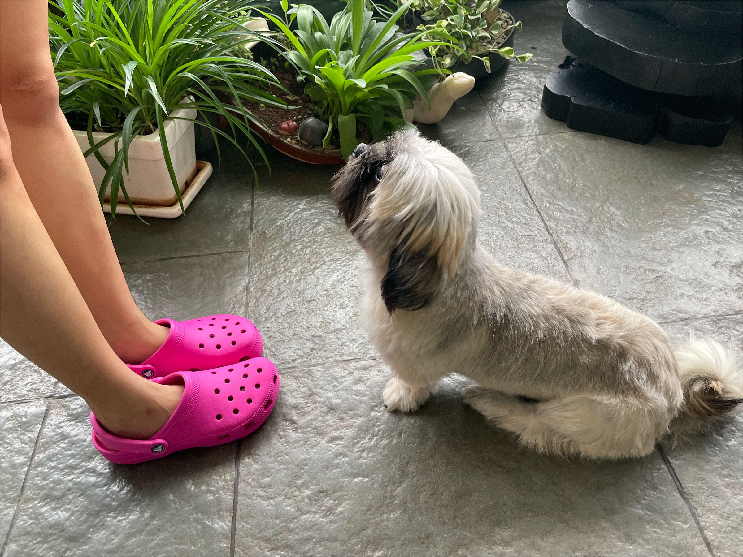 A woman wearing hot pink Crocs